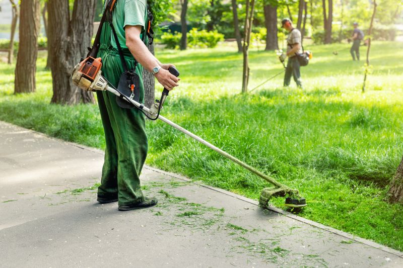 Sidewalk Shaving