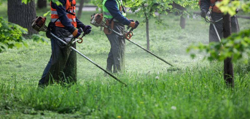 Local Sidewalk Shaving pros at work